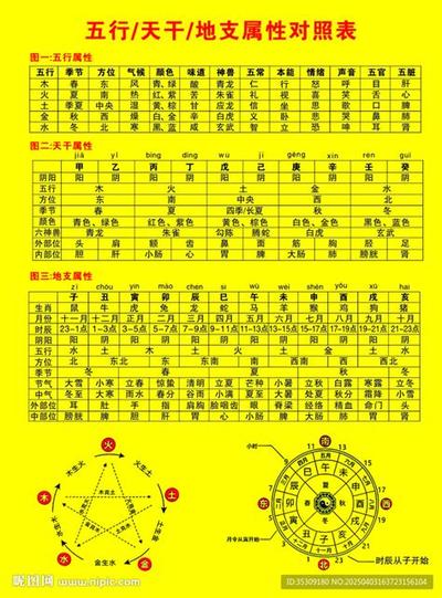 五行缺木取名指南：女宝宝名字精选