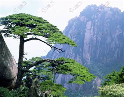 签约选日子：如何挑选黄道吉日