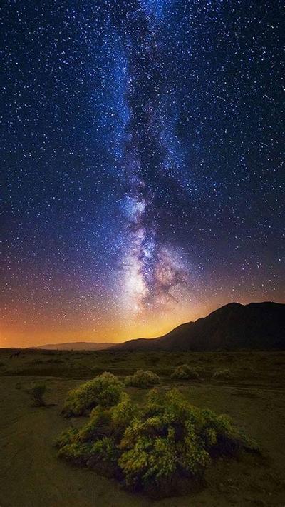 2026年最受欢迎的店铺名字TOP12